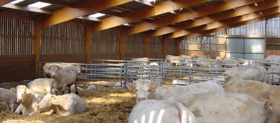 La ventilation des bâtiments d’élevage