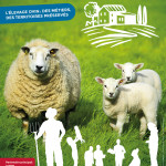 Le salon professionnel pour les éleveurs  de moutons prépare  sa nouvelle édition