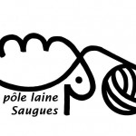 Questionnaire pour le développement d'une offre de micro-lavage de laine