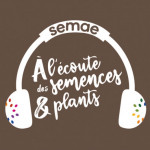 A l’écoute des semences et des plants