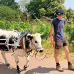 700 km avec sa vache contre le cancer