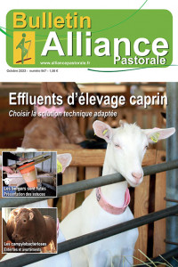 Bulletin de l'Alliance Pastorale N°947 - Octobre 2023