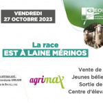Sortie de Centre d’élevage de la race Est à Laine Mérinos (57)