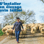 Les guides à l’installation ovin lait et viande d’Inn’Ovin font peau neuve