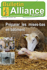 Bulletin de l'Alliance Pastorale N°948 - Novembre 2023