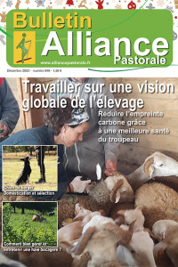 Bulletin Alliance Pastorale N°949 - Décembre 2023
