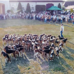 Semaine Nationale du Chien : une première édition au poil !