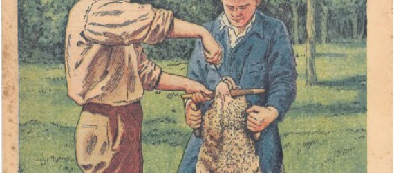 Hommage  à un vétérinaire d’une époque antérieure