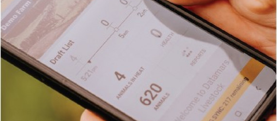 Solutions  technologiques  en élevage