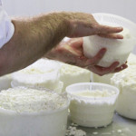 Fabriquer des fromages pour étudier les risques sanitaires