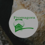 Le comité de la foire aux fromages de Sainte-Maure de Touraine accueillera Fromagora, en juin 2024 !