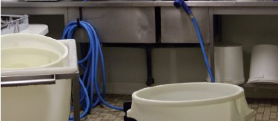 Choisir les bons  produits pour l’hygiène de la fromagerie