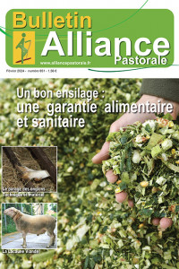 Bulletin de l'Alliance  Pastorale N°951 - Février 2024