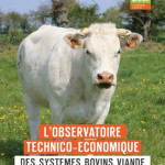 Premier observatoire bovins viande à l’échelle des pays de la Loire