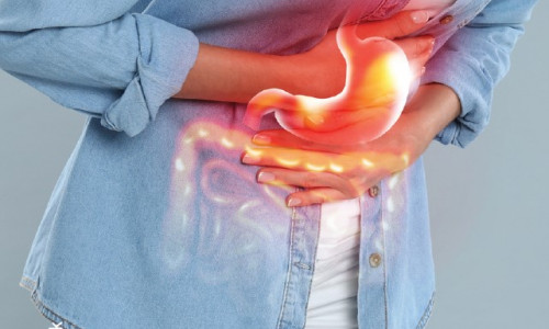 Les Campylobactérioses, Partie  2 : Campylobacter spp responsable de zoonose chez l’humain
