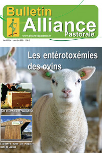 Bulletin de l'Alliance Pastorale N°953 - Avril 2024