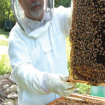 Les essentiels   de l’apiculteur