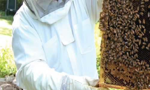 Les essentiels   de l’apiculteur