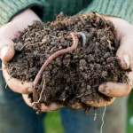 APPRIVOISE, un nouveau projet stratégique pour l’agriculture et la biodiversité