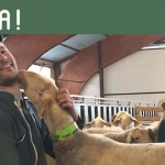 Aqui Ba Pla pour faire découvrir la réalité des métiers de l’agriculture