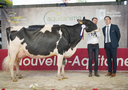 Mitsy Cahf JL (Charente)__crédit Pierre Frei - Mitsy Cahf JL (Charente)__crédit Pierre Frei Mitsy Cahf JL (Charente)__crédit Pierre Frei - Mitsy Cahf JL (Charente)__crédit Pierre Frei
