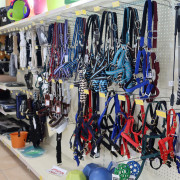 Photo Magasin Alliance de Ahun - 65