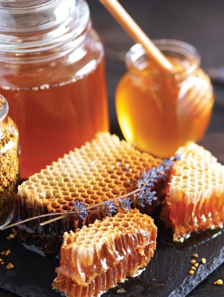 Les techniques  de récolte du miel