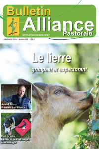 Bulletin de l'Alliance Pastorale N°956 - Juillet-Août 2024
