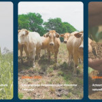 Concours Graines d’Agriculteurs 2024 :  votez pour votre jeune agriculteur préféré !