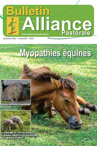 Bulletin de l'Alliance Pastorale N°957 - Septembre 2024