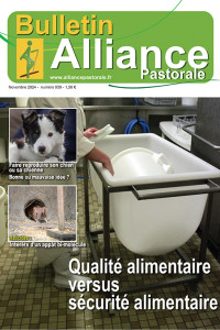 Bulletin de l'Alliance Pastorale N°959 - Novembre 2024