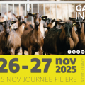 Capr’Inov 2025 – Salon des professionnels du secteur caprin(79)