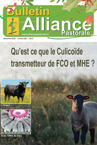 Bulletin de l'Alliance Pastorale N°960 - Décembre 2024