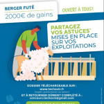 Êtes vous  un berger futé ? Donnez vos astuces