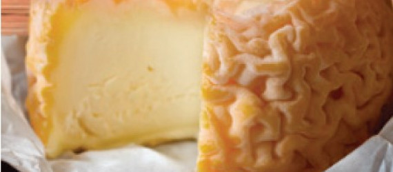Connaissez-vous  le Langres AOP,  ce fromage qui ne se retourne jamais !
