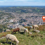 Journées Tricolor  à Lourdes