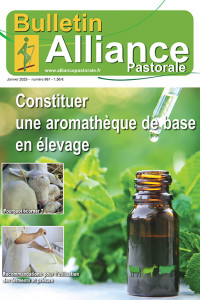 Bulletin de l'Alliance Pastorale N°961 - Janvier 2025