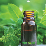 Constituer  une aromathèque de base  en élevage