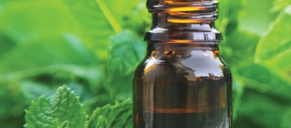 Constituer  une aromathèque de base  en élevage