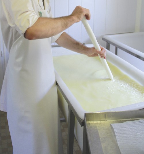 Recommandations  pour l'utilisation des  ferments et de la présure de la gamme SélectionTM