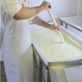 Recommandations pour l'utilisation des ferments et de la présure de la gamme SélectionTM