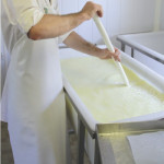 Recommandations  pour l'utilisation des  ferments et de la présure de la gamme SélectionTM