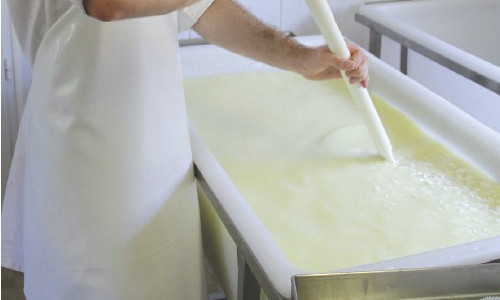 Recommandations  pour l'utilisation des  ferments et de la présure de la gamme SélectionTM