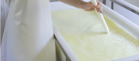 Recommandations  pour l'utilisation des  ferments et de la présure de la gamme SélectionTM