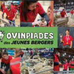 20ème Ovinpiades  des Jeunes Bergers
