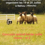 Concours spécial Border Collie classe 1 et 2 (50)