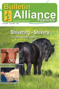 Bulletin de l'Alliance Pastorale N°962 - Février 2025