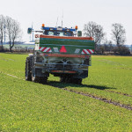 Implantations  difficiles :  faut-il apporter du phosphore en sortie d’hiver sur céréales ?