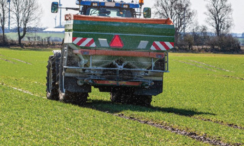 Implantations  difficiles :  faut-il apporter du phosphore en sortie d’hiver sur céréales ?