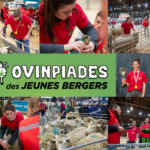 Ovinpiades des Jeunes Bergers Samedi 22 février 2025 - Qui sera le Meilleur Jeune Berger de France 2025 ?